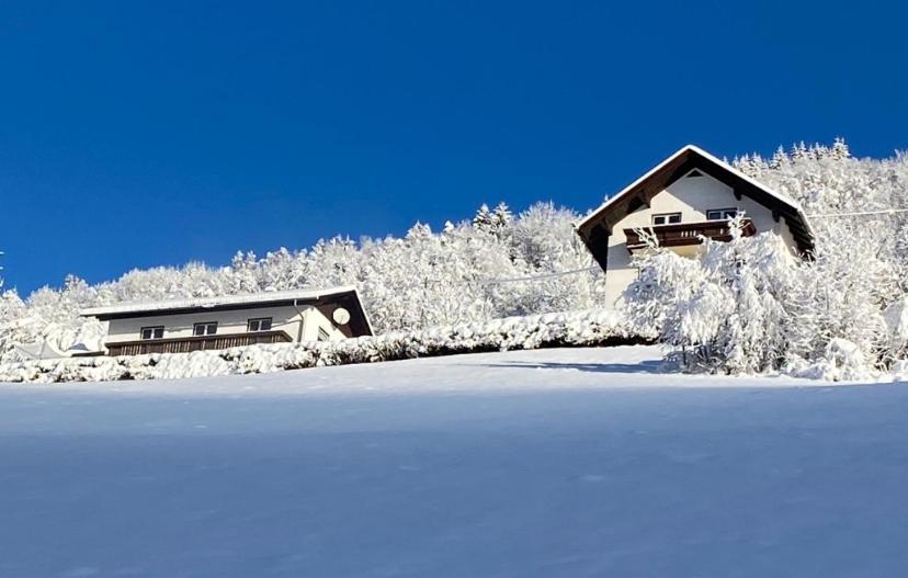 Nocky Mountains Lodge And Apartment Радентхайм Екстериор снимка