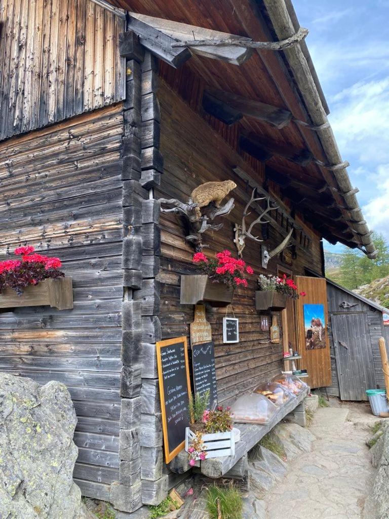 Nocky Mountains Lodge And Apartment Радентхайм Екстериор снимка