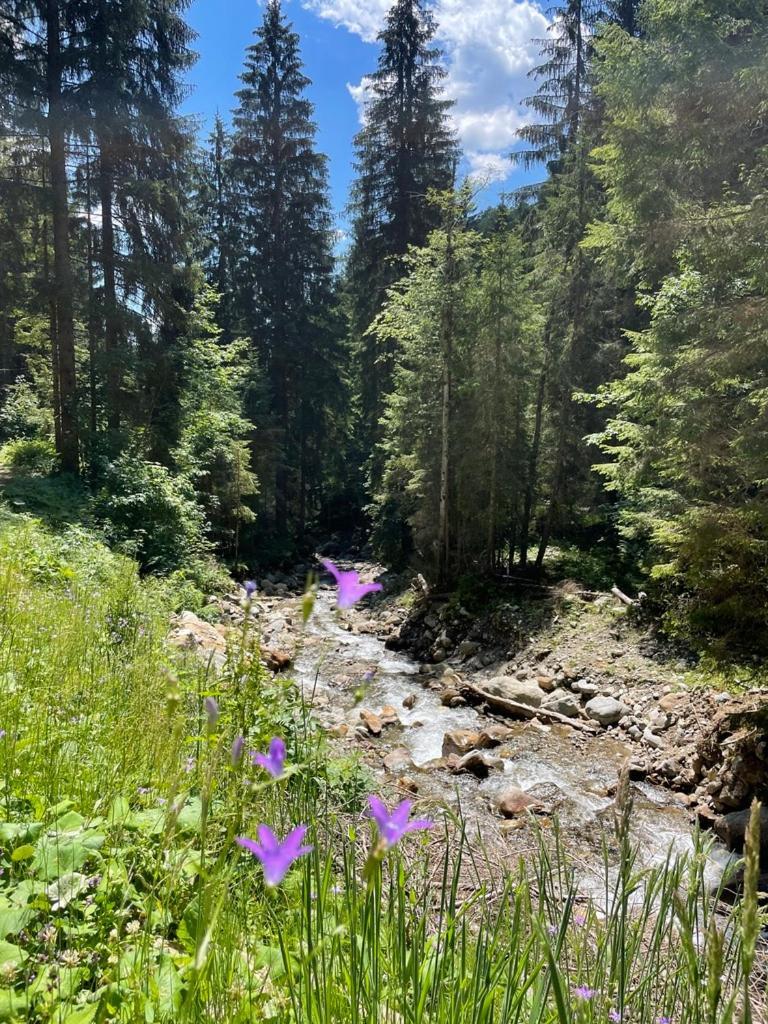 Nocky Mountains Lodge And Apartment Радентхайм Екстериор снимка
